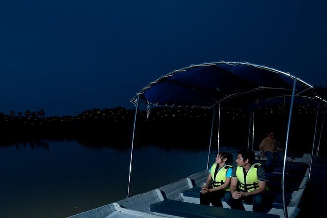 Kuala Selangor Firefly Blinkings Private Tour with Seafood Dinner - Key points to know before booking