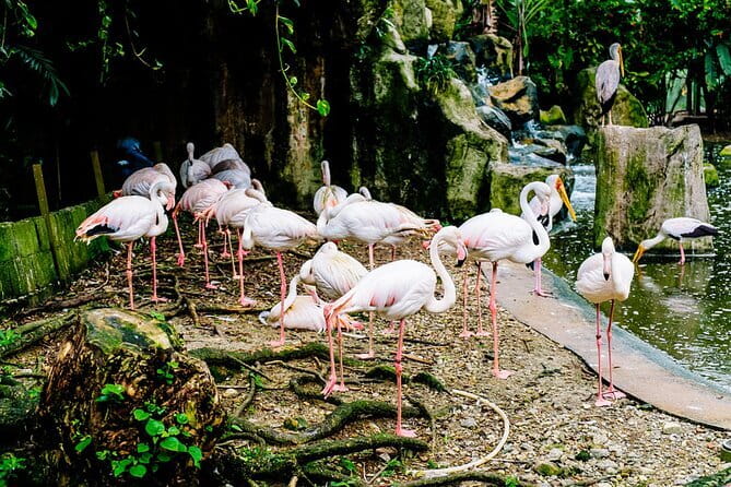 Kuala Selangor Sky Mirror Experience – Natural Mirror Beach Tour - Who will enjoy this half-day trip