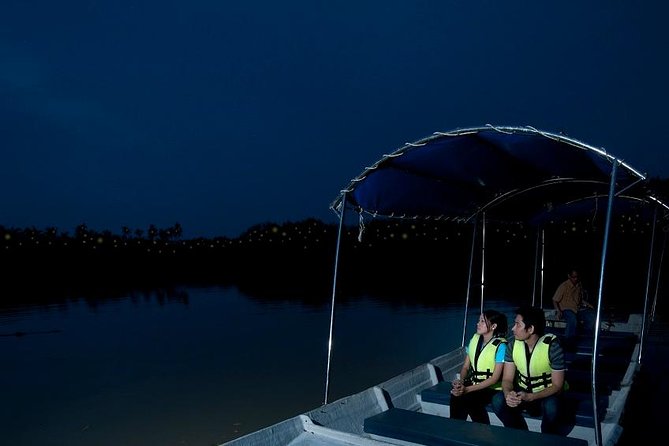 Kuala Selangor Tour from Kuala Lumpur with Fireflies Boat Ride and Seafood Dinner - Why the firefly boat ride is worth the trip
