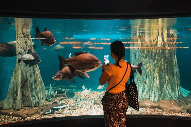 Malaysia: Aquaria KLCC Admission E-Ticket - Finding the entrance beneath the convention centre
