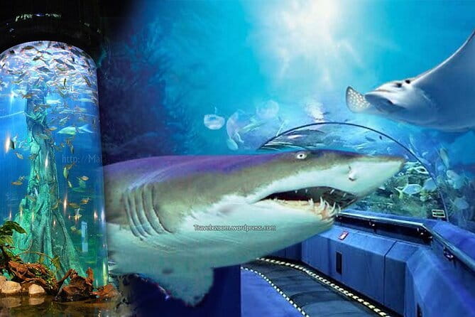 Malaysia: Aquaria KLCC Admission E-Ticket - Practical ticket advice for a smooth visit