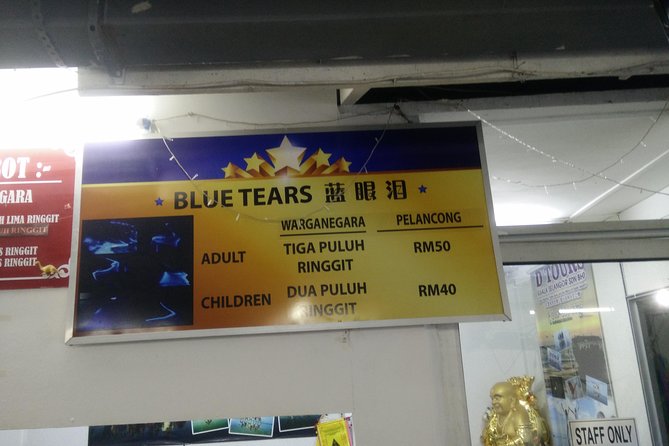 Monkey Hill, Eagle &Firefly Tour+Free Batu Caves Visit.(Per Car) - Fireflies in the Kuala Selangor mangroves