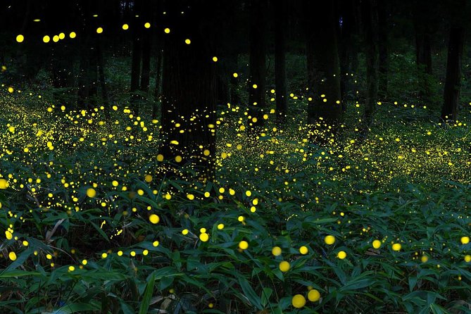 Nature Escape: Fireflies, Waterfalls, Hot Springs with Batu Caves - A private car makes the long route easier