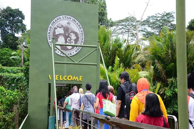 Orang Utan Island Day Tour - Bukit Merah and the short park walk