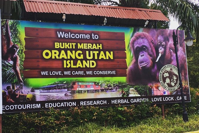 Orang Utan Island Day Tour (Private) - How to prepare for the weather and walking