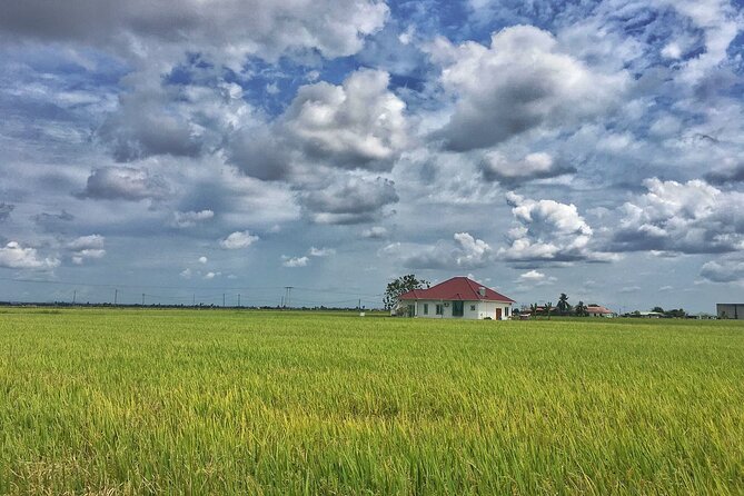 Paddy Field, Fishing Village Sekinchan DAY Tour Lunch (SIC-Shared/Join In Tour) - Seafood lunch at a local restaurant
