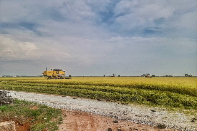 Paddy Field, Fishing Village Sekinchan DAY Tour Lunch (SIC-Shared/Join In Tour) - What $65 really covers