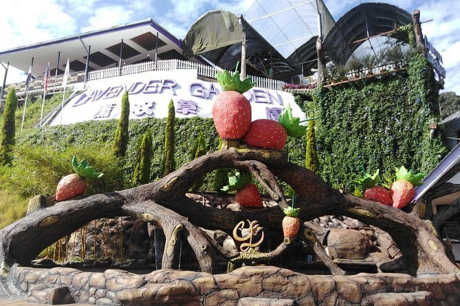 Private: Cameron Highlands 2 days 1 night Trip - Cactus Valley and Kea Farm show the commercial side of the hills