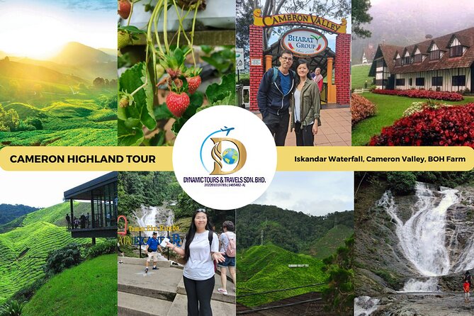 Private Full-Day Cameron Highlands Nature Tour from Kuala Lumpur - Why Cameron Highlands is worth the long ride
