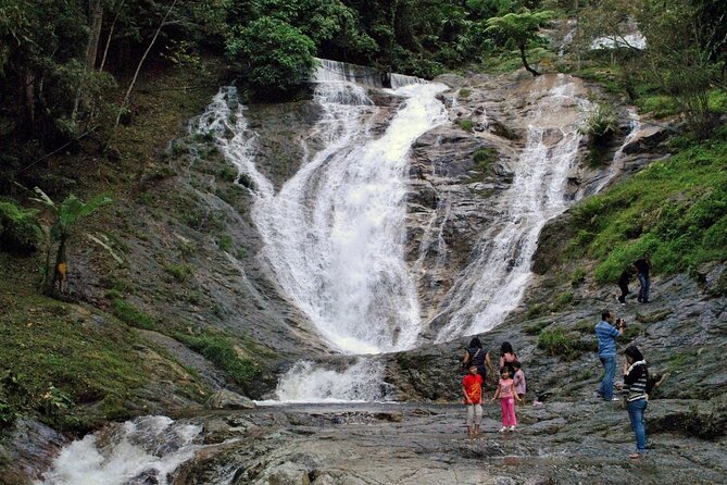 Private Full-Day Cameron Highlands Nature Tour from Kuala Lumpur - Strawberries, flowers, and farm shops