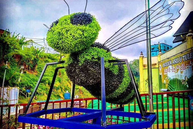 Private Full-Day Cameron Highlands Nature Tour from Kuala Lumpur - Brinchang, Tanah Rata, and Sam Poh Temple