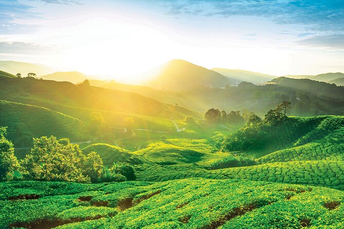 Private Full-Day Cameron Highlands Nature Tour from Kuala Lumpur - Ringlet and the Orang Asli visit