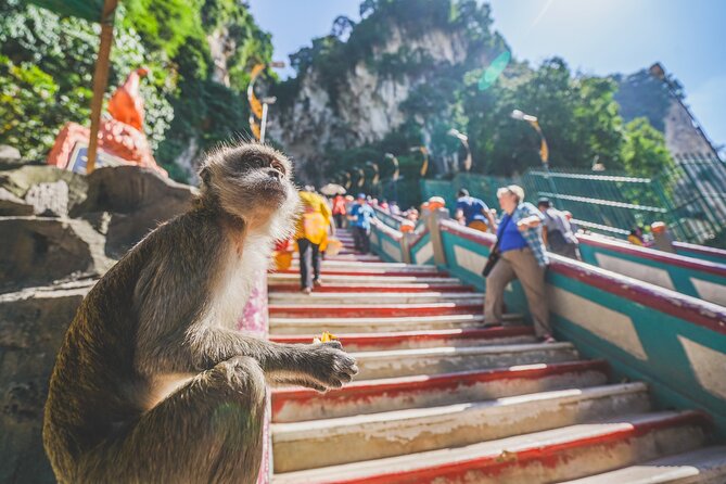 Private Half-Day Batu Caves and Cutural Tour in Kuala Lumpur - Central Market is the practical place to shop