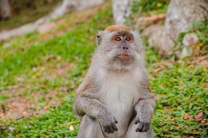 Private Kanching Waterfalls with Batu Caves & Ramayana Caves Tour - The advantage of private, air-conditioned transport