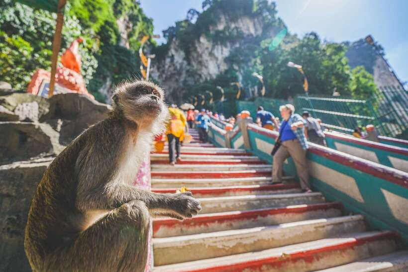Private KL City Tour with Petronas Twin Towers & Batu Caves - Batu Caves: start with the largest visual jolt