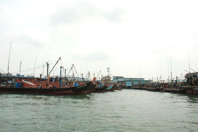Private Tour: Crab Island Sightseeing Boat Ride and Seafood Lunch - Choosing lunch from Pulau Ketam’s seafood restaurants