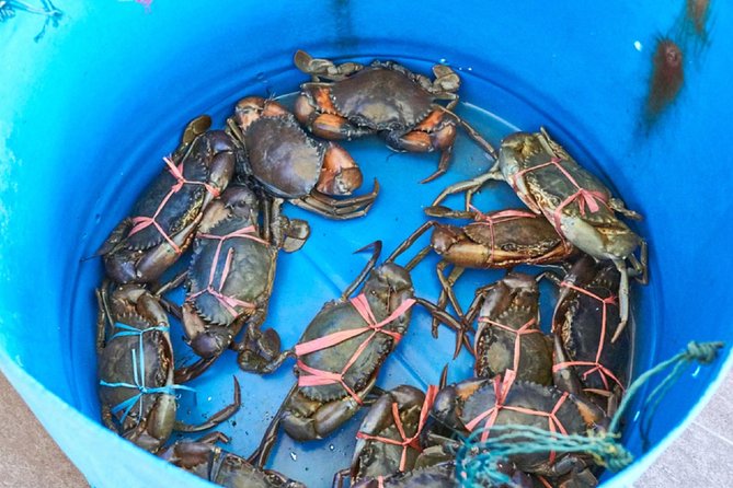 Private Tour: Crab Island Sightseeing Boat Ride and Seafood Lunch - A short visit to Thean Hou Temple