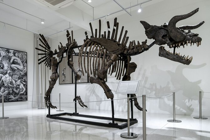 Quirky Art Museum called Ur-Mu in Bukit Bintang, KL - Should You Book UR-MU?