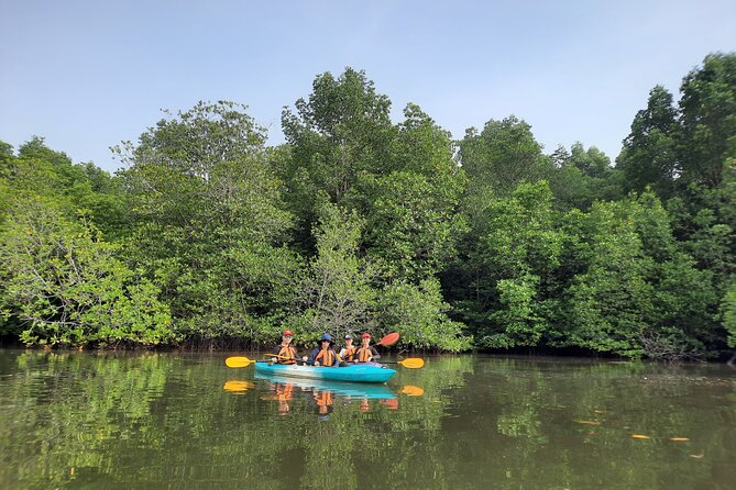 River Exploration and Mangrove Nature Tour by kayaking - What the four-hour route feels like