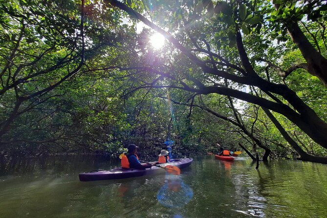 River Exploration and Mangrove Nature Tour by kayaking - Wildlife to watch for along the banks