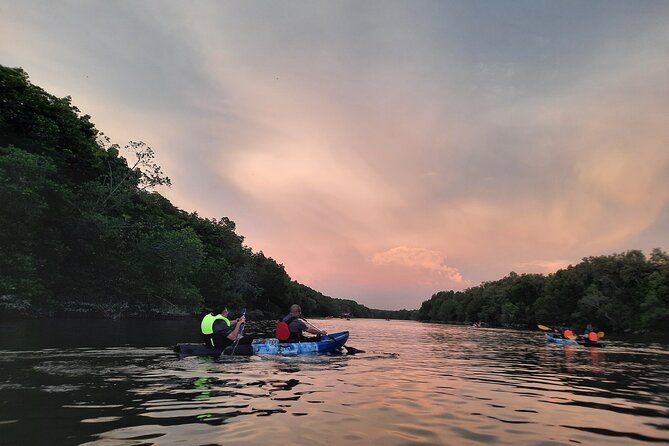 River Exploration and Mangrove Nature Tour by kayaking - The halfway picnic and what is included