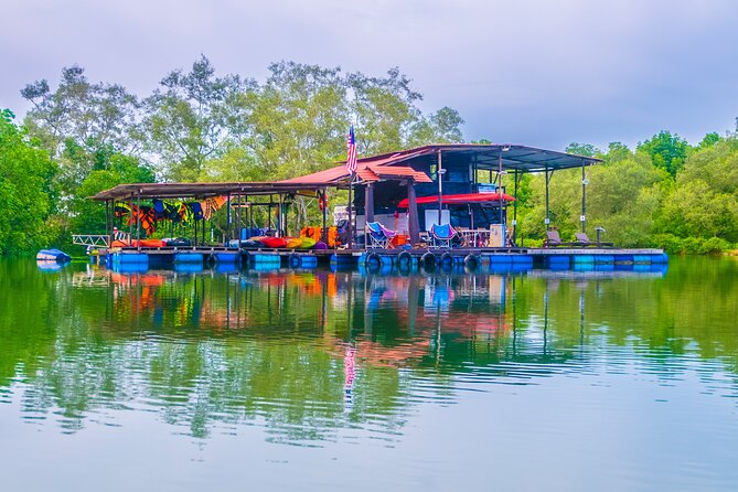 River Exploration and Mangrove Nature Tour by kayaking - What the strongest praise points to
