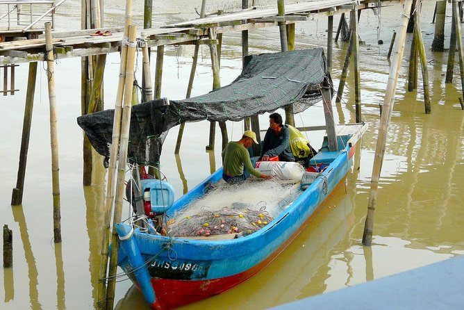 Silver Leaf Monkeys and Firefly Tour with Boat Ride and Seafood Dinner - Bukit Melawati and its two very different monkeys