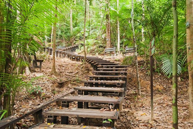 Taman Negara Day Tour with Canopy Walk - The 5:30 a.m. start from Kuala Lumpur