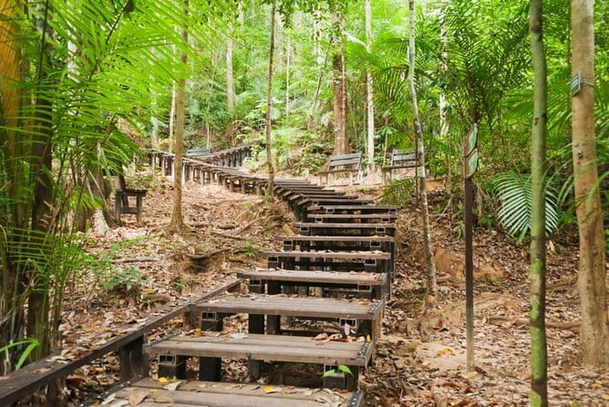 Taman Negara National Park Day Excursion from Kuala Lumpur PVT - Practical Tips for a Smoother Day