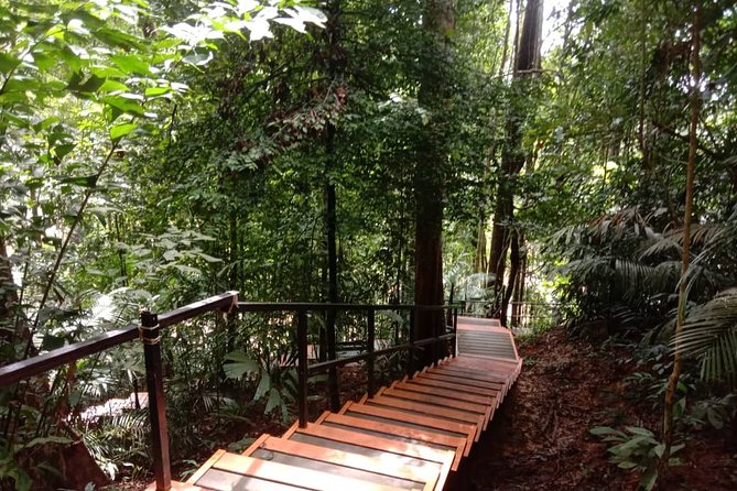 Taman Negara National Park Day Tour (SIC - Join In Tour) - Entering Taman Negara at Kuala Tahan