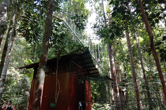 Taman Negara National Park Day Tour (SIC - Join In Tour) - The Teresek Hill hike: stairs, heat, and a worthwhile view
