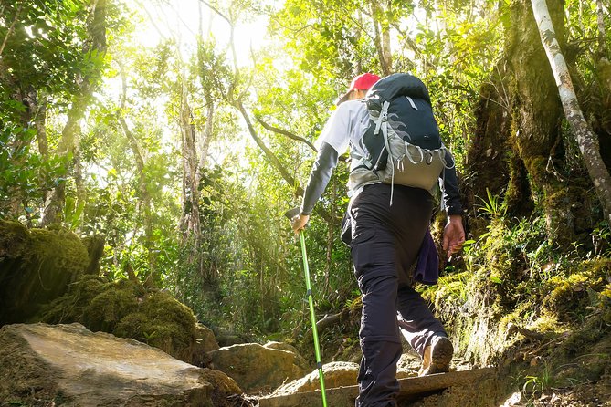 Templer Park and Kanching Waterfall Tour with Batu Caves Stopover - Kanching Falls and the chance to swim