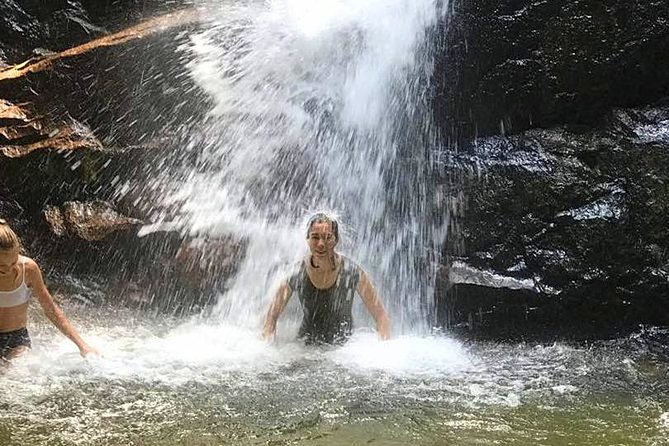 Templer Park and Kanching Waterfall Tour with Batu Caves Stopover - What the private vehicle changes